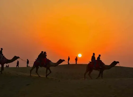 Royal Rajasthan Desert & Heritage Tour 8 Days